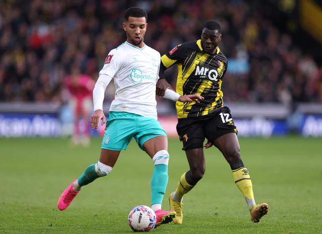 九游游戏-南安普顿客场不敌沃特福德，遭遇败局