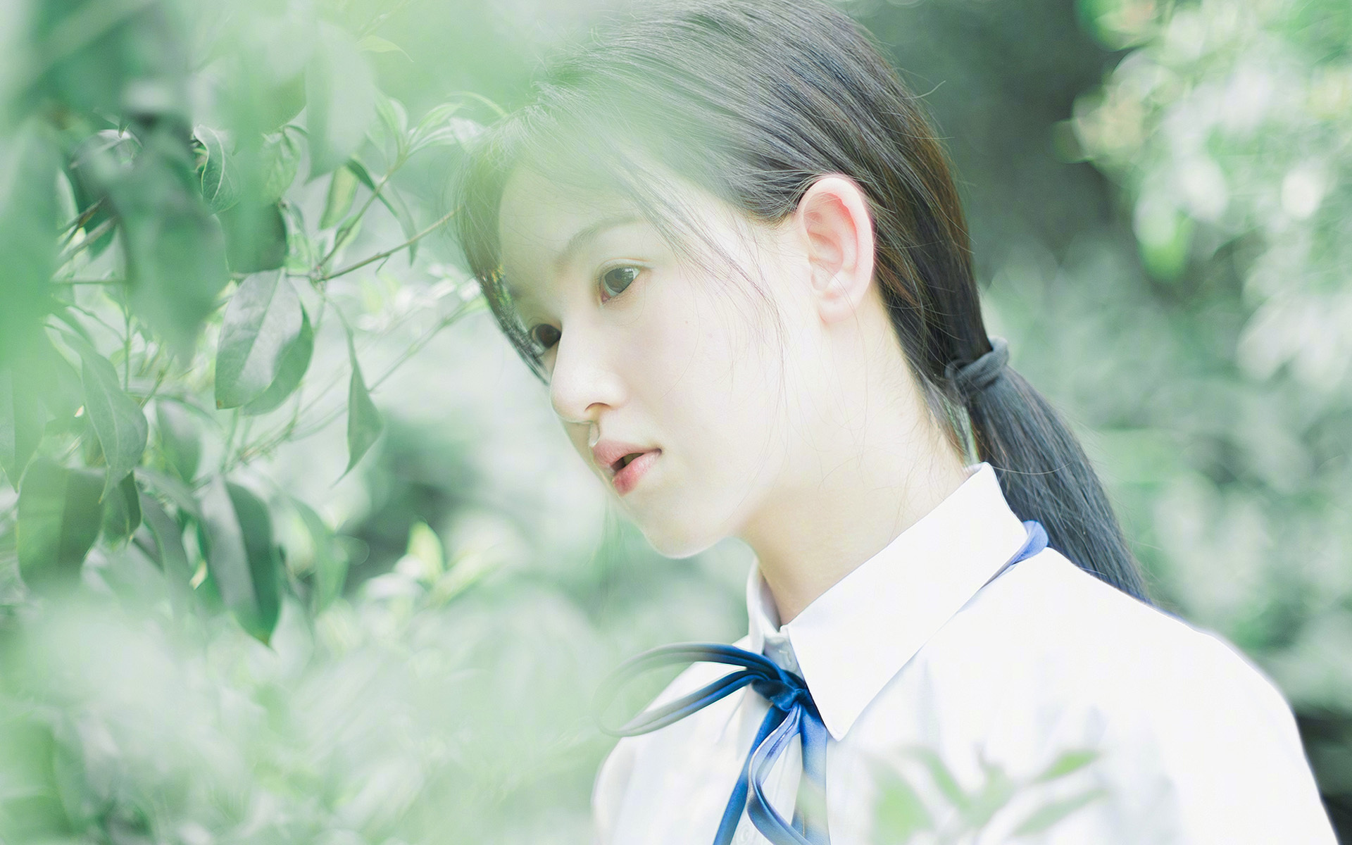 小贾伦神级表现封王，辽宁队碾压勇士彰显霸主气质