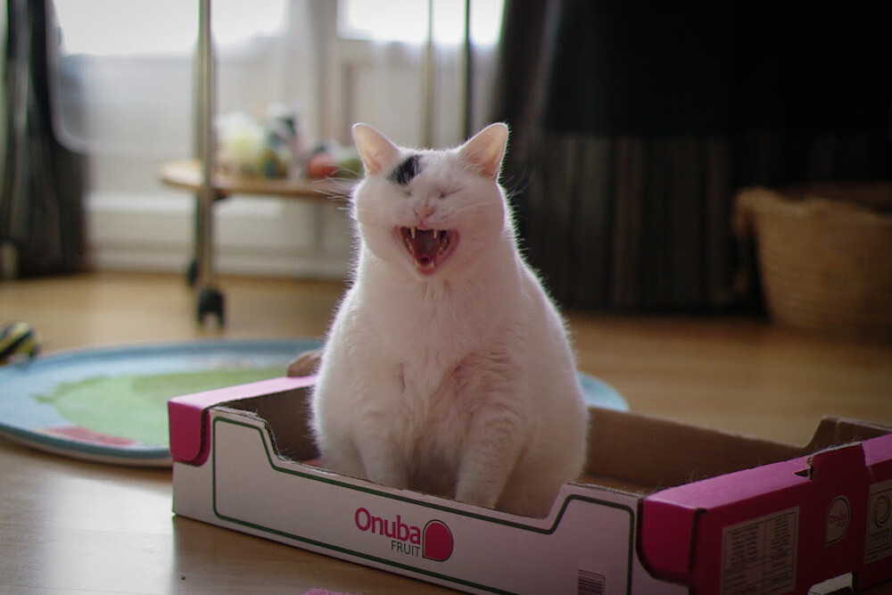 当争冠成为常态，曼城如何化身英超收割者