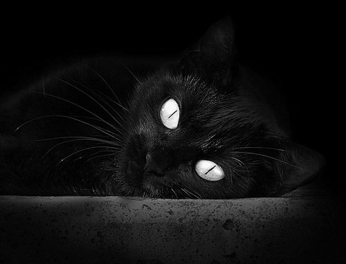 九游体育-个人独奏与团队交响，英格拉姆的节奏魔法如何被独行侠的钢铁洪流破解？