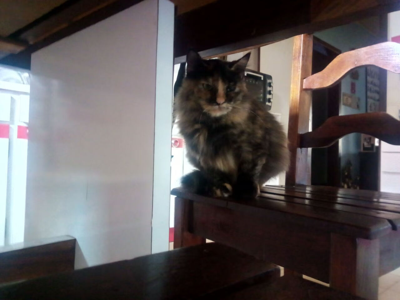 夜战星光，布伦森连击定乾坤—记一场扭转赛季走势的意甲焦点战