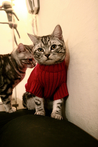 布雷默的弯道革命与贝蒂斯的铁桶阵，当规则颠覆者接管赛场