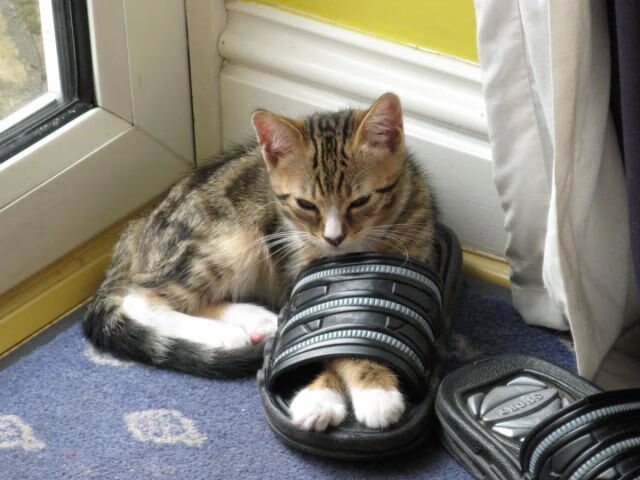 马刺淘汰赛力克76人晋级，浓眉总决赛接管比赛铸就传奇