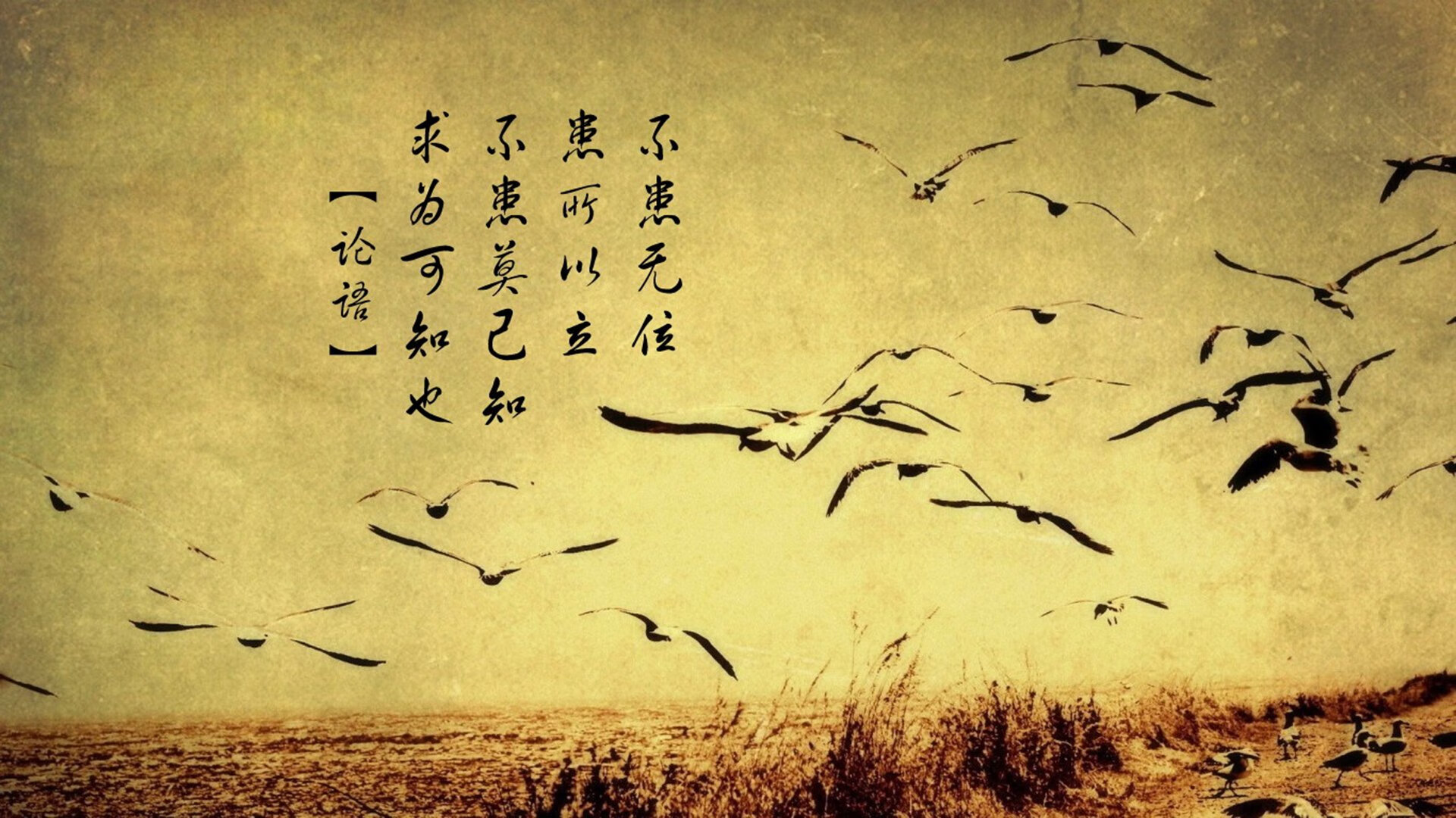 雪夜鏖战！内马尔终场绝杀定乾坤 拜仁血拼芬兰惊魂记