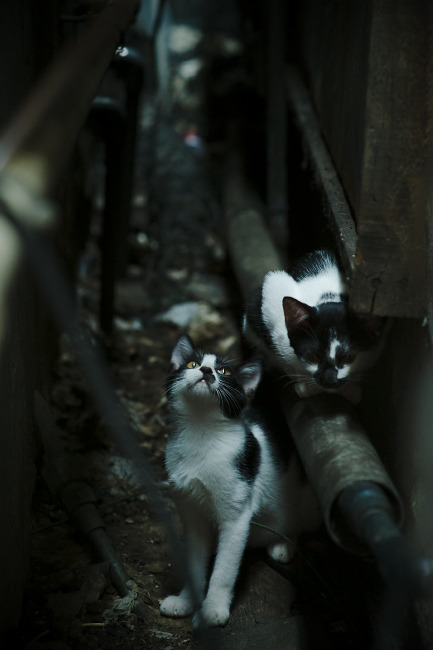 蓝白风暴席卷罗马城，阿圭罗爆发助阿根廷争冠战胜出