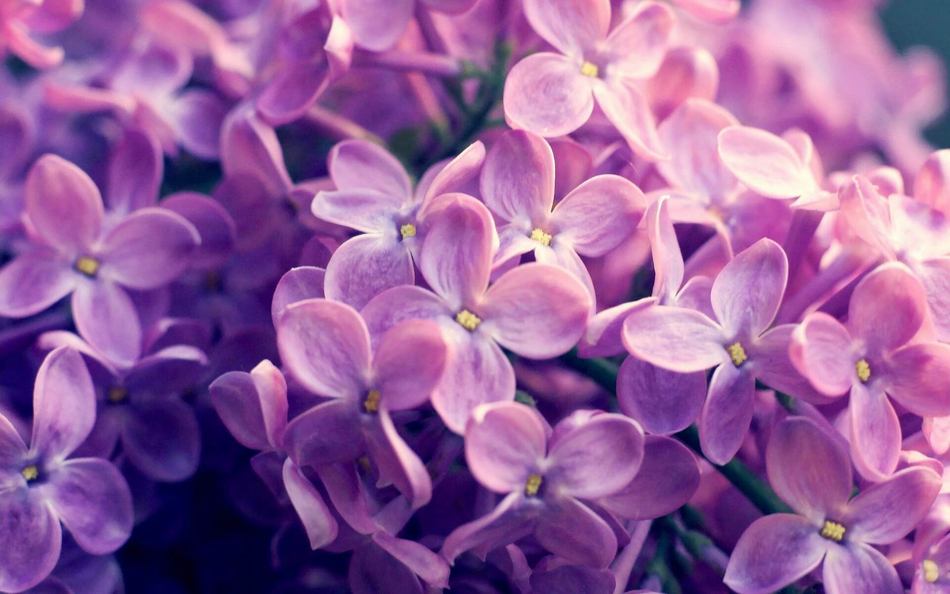 压抑的火山终炸裂纽约，重压下哈登用行动击碎所有质疑